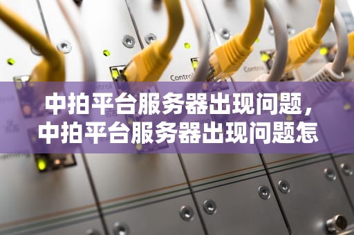 中拍平台服务器出现问题，中拍平台服务器出现问题怎么办