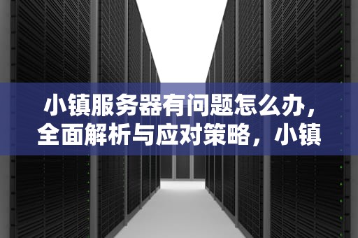 小镇服务器有问题怎么办，全面解析与应对策略，小镇服务器有问题怎么办啊