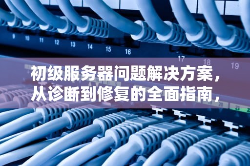 初级服务器问题解决方案，从诊断到修复的全面指南，初级服务器问题解决方案怎么写