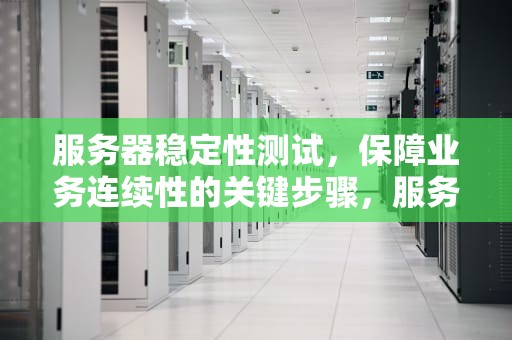 服务器稳定性测试，保障业务连续性的关键步骤，服务器怎么测稳定性问题的