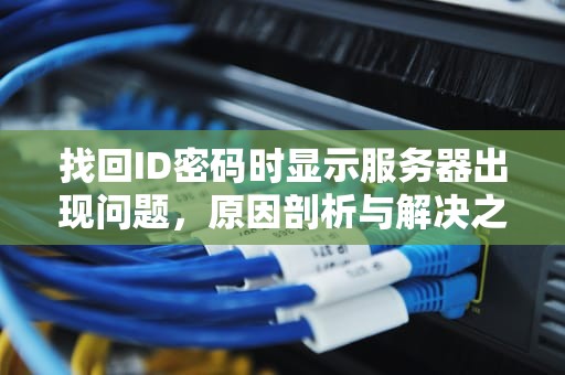 找回ID密码时显示服务器出现问题，原因剖析与解决之道，找回id密码显示服务器出现问题怎么办