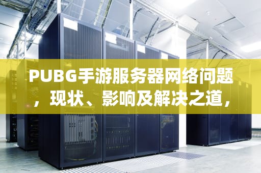 PUBG手游服务器网络问题，现状、影响及解决之道，手游pubg服务器繁忙怎么办