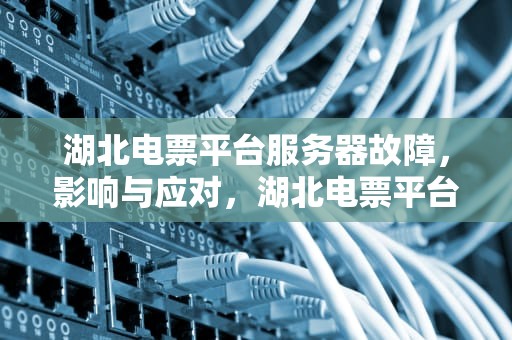 湖北电票平台服务器故障，影响与应对，湖北电票平台服务器出问题怎么办