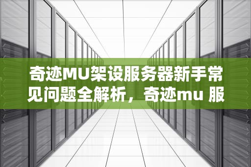 奇迹MU架设服务器新手常见问题全解析，奇迹mu 服务器
