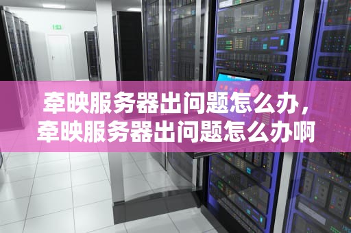 牵映服务器出问题怎么办，牵映服务器出问题怎么办啊