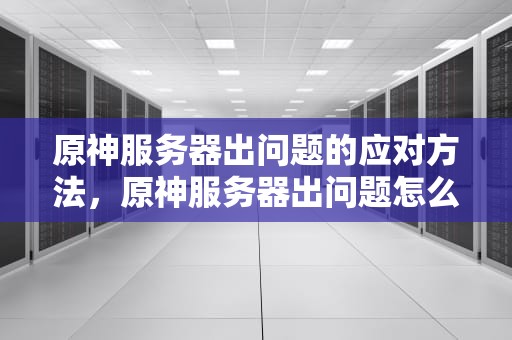 原神服务器出问题的应对方法，原神服务器出问题怎么办啊