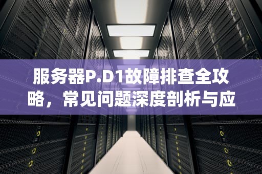 服务器P.D1故障排查全攻略，常见问题深度剖析与应对之道，服务器p.d1什么问题都能用吗