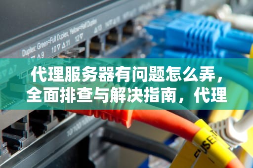 代理服务器有问题怎么弄，全面排查与解决指南，代理服务器有问题怎么弄好