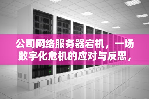 公司网络服务器宕机，一场数字化危机的应对与反思，公司网络服务器出现问题怎么解决