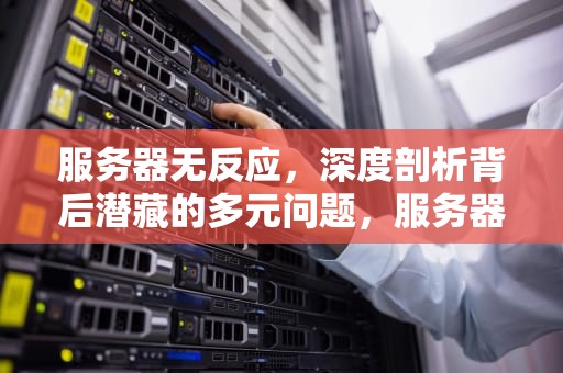 服务器无反应，深度剖析背后潜藏的多元问题，服务器无反应是什么问题啊
