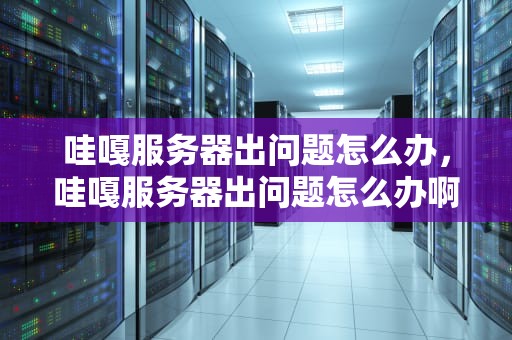 哇嘎服务器出问题怎么办，哇嘎服务器出问题怎么办啊