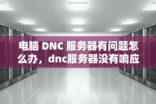 电脑 DNC 服务器有问题怎么办，dnc服务器没有响应