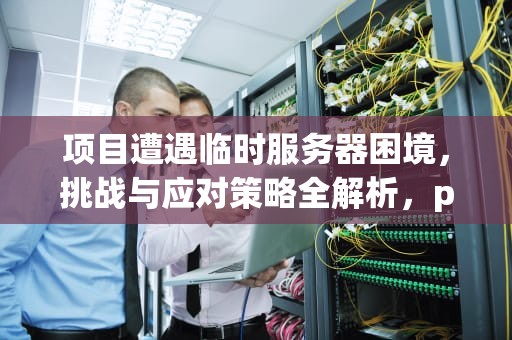 项目遭遇临时服务器困境，挑战与应对策略全解析，project常见问题
