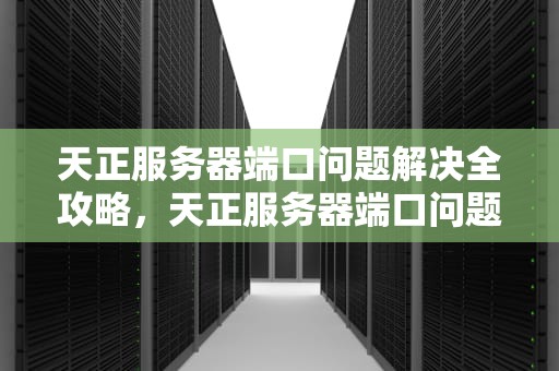 天正服务器端口问题解决全攻略，天正服务器端口问题解决方法