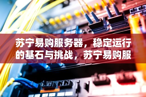 苏宁易购服务器，稳定运行的基石与挑战，苏宁易购服务器有问题么