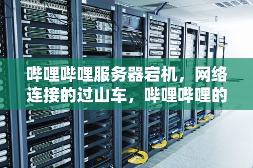 哔哩哔哩服务器宕机，网络连接的过山车，哔哩哔哩的服务器有问题怎么解决