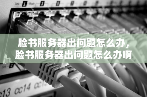 脸书服务器出问题怎么办，脸书服务器出问题怎么办啊