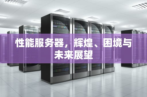 性能服务器，辉煌、困境与未来展望