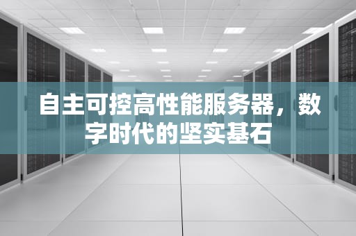 自主可控高性能服务器，数字时代的坚实基石