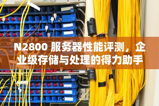 N2800 服务器性能评测，企业级存储与处理的得力助手