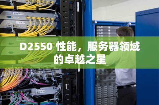 D2550 性能，服务器领域的卓越之星