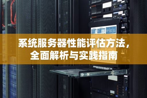 系统服务器性能评估方法，全面解析与实践指南
