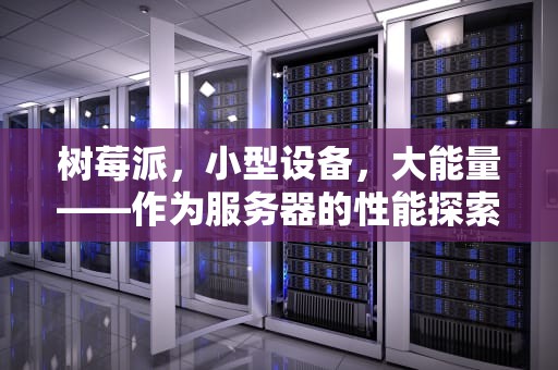 树莓派，小型设备，大能量——作为服务器的性能探索