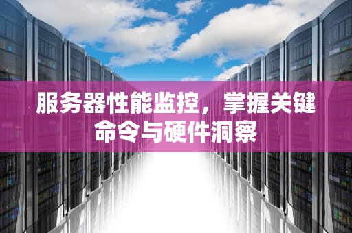 服务器性能监控，掌握关键命令与硬件洞察