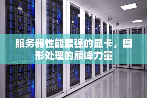 服务器性能最强的显卡，图形处理的巅峰力量