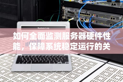 如何全面监测服务器硬件性能，保障系统稳定运行的关键技术