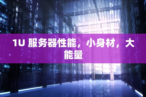 1U 服务器性能，小身材，大能量