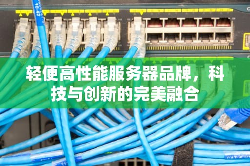 轻便高性能服务器品牌，科技与创新的完美融合