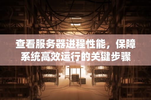 查看服务器进程性能，保障系统高效运行的关键步骤