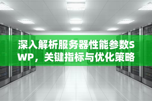 深入解析服务器性能参数SWP，关键指标与优化策略
