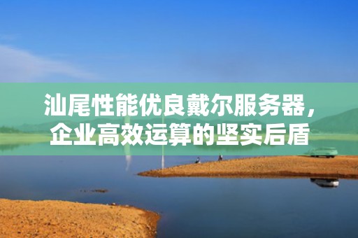 汕尾性能优良戴尔服务器，企业高效运算的坚实后盾