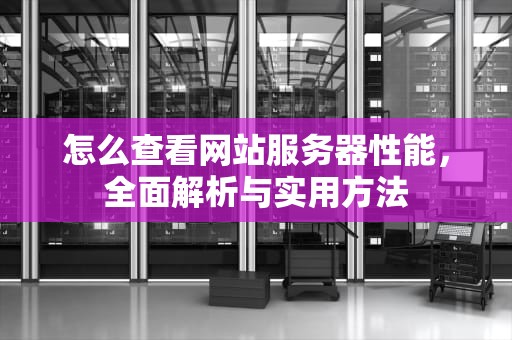 怎么查看网站服务器性能，全面解析与实用方法