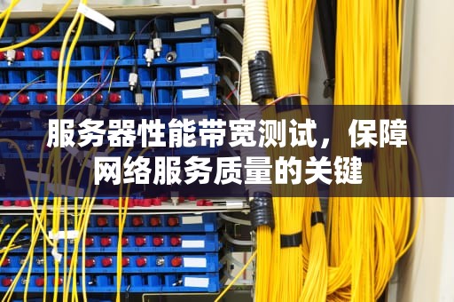 服务器性能带宽测试，保障网络服务质量的关键