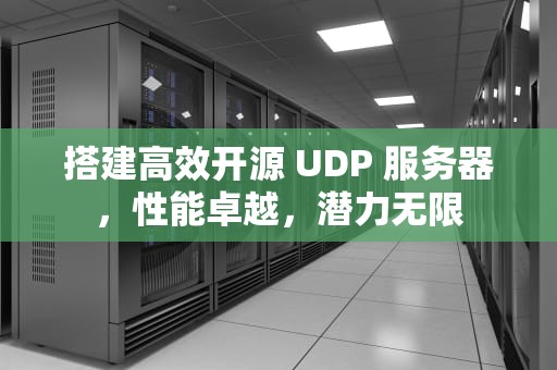 搭建高效开源 UDP 服务器，性能卓越，潜力无限