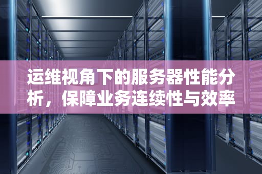 运维视角下的服务器性能分析，保障业务连续性与效率的关键