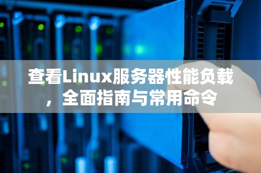 查看Linux服务器性能负载，全面指南与常用命令