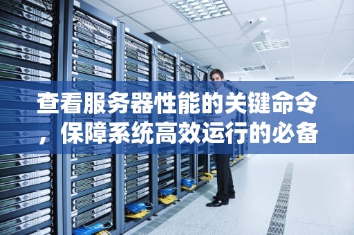 查看服务器性能的关键命令，保障系统高效运行的必备技能