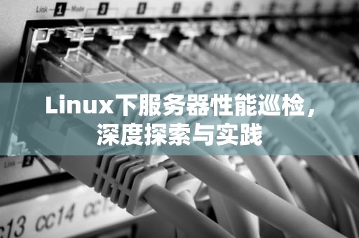 Linux下服务器性能巡检，深度探索与实践