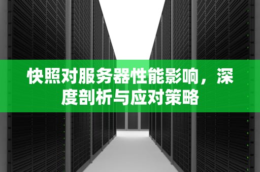 快照对服务器性能影响，深度剖析与应对策略