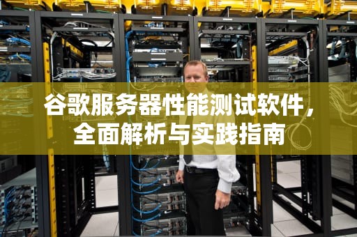 谷歌服务器性能测试软件，全面解析与实践指南