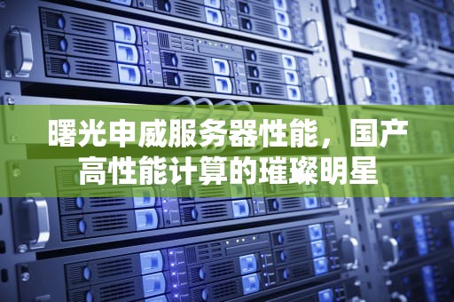 曙光申威服务器性能，国产高性能计算的璀璨明星