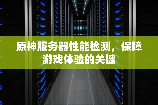 原神服务器性能检测，保障游戏体验的关键