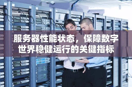 服务器性能状态，保障数字世界稳健运行的关键指标