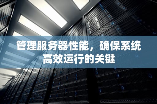 管理服务器性能，确保系统高效运行的关键