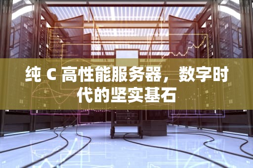 纯 C 高性能服务器，数字时代的坚实基石
