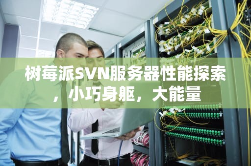 树莓派SVN服务器性能探索，小巧身躯，大能量